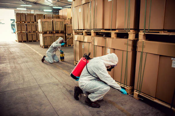 Best Bed Bug Extermination  in Bridgewater Center, NJ