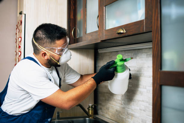 Best Residential Pest Control  in Bridgewater Center, NJ