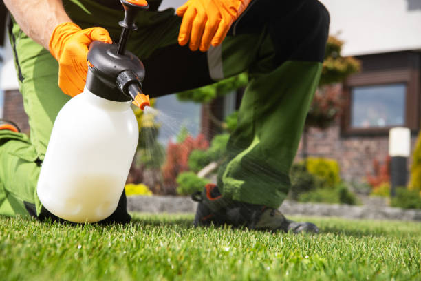 Best Mosquito Control Services  in Bridgewater Center, NJ
