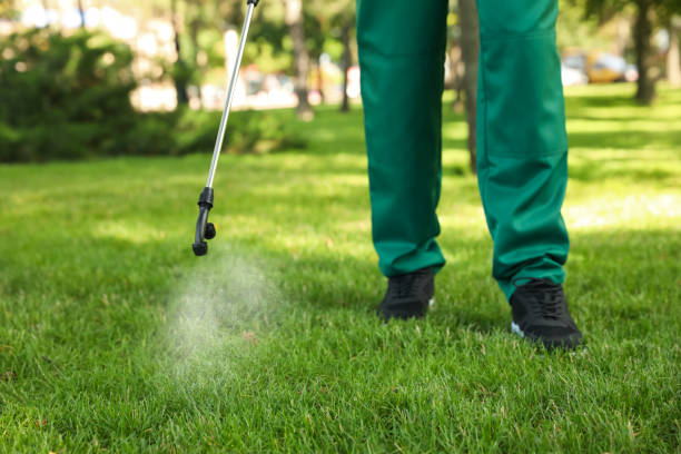 Best Insect Control  in Bridgewater Center, NJ