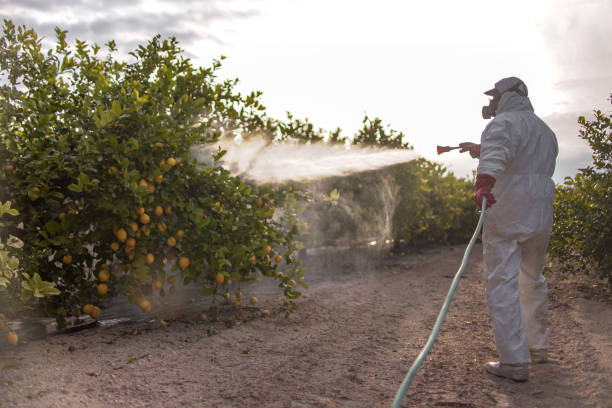 Best Best Pest Control Near Me  in Bridgewater Center, NJ