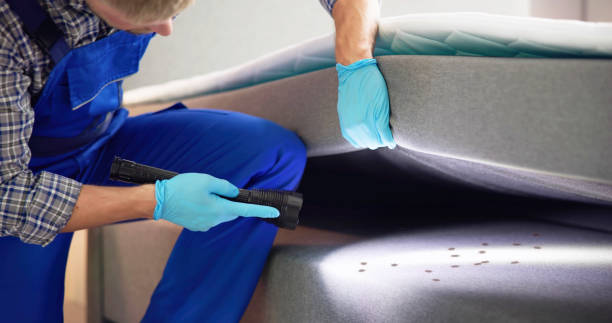 Best Pest Inspection Near Me  in Bridgewater Center, NJ