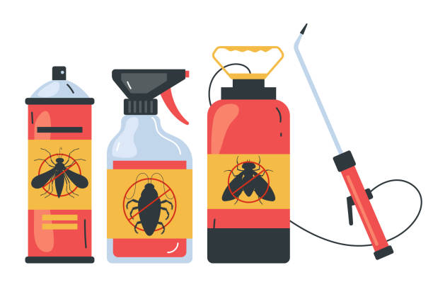 Best Wasp Removal Services  in Bridgewater Center, NJ