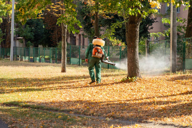 Best Best Pest Control Companies  in Bridgewater Center, NJ
