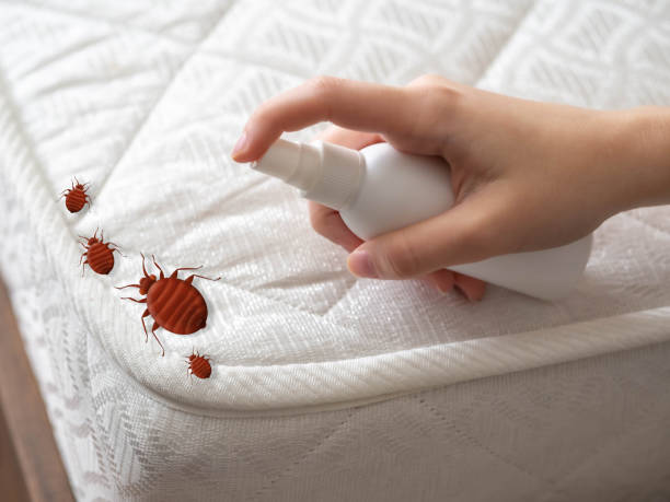 Bridgewater Center, NJ Pest Control Company
