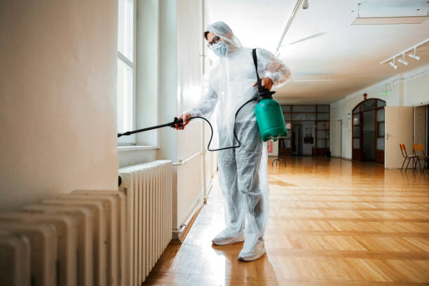 Best Termite Control Services  in Bridgewater Center, NJ