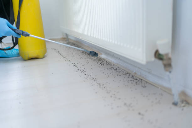 Best Pest Prevention Services  in Bridgewater Center, NJ