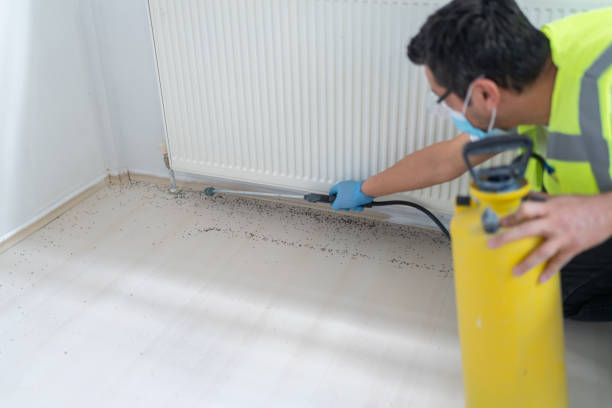 Best Cockroach Control Services  in Bridgewater Center, NJ