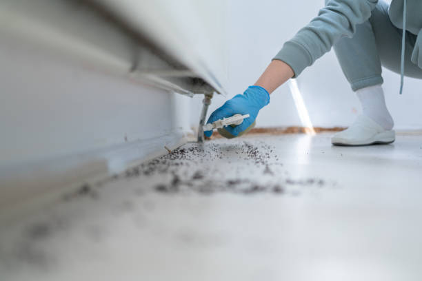 Best Ant Control Services  in Bridgewater Center, NJ